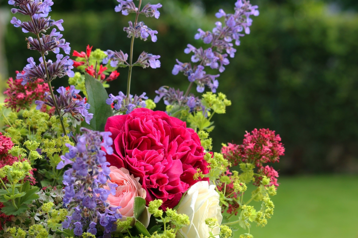 Esenciální vlastnosti rostlin - jak se přirozenými prostředky bránit proti komárům a škůdcům?