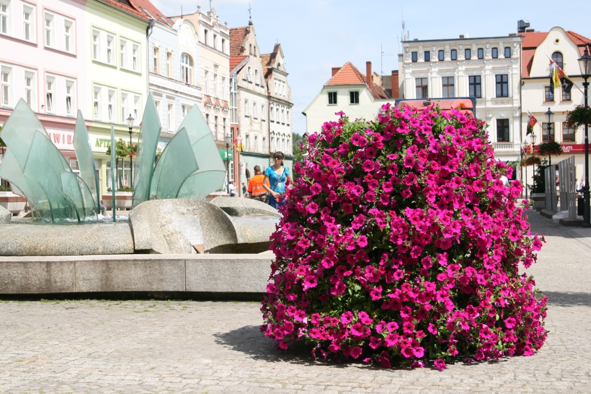 Jak vytvořit kaskádový záhon