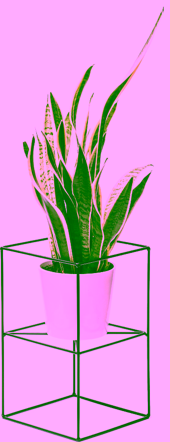 Stojan na jednu rostlinu. Volně stojící drátěný květináč – 40 cm.