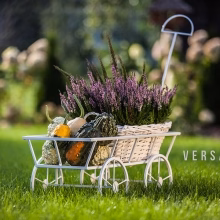 Dekorativní kovový zahradní Model:46