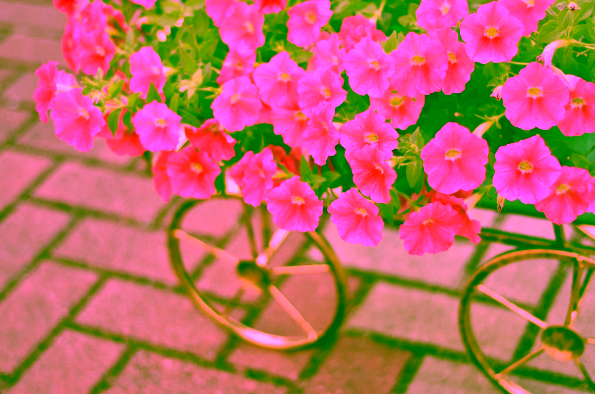 Dekorativní kovový zahradní Model:46