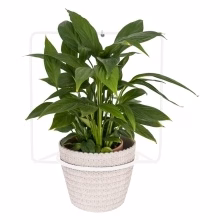 Kovový nástěnný záhon Model:564