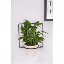 Kovový nástěnný záhon Model:564