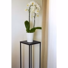 Kovový stojící záhon. Model:626