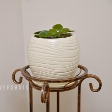 Kovový záhon - Model:418