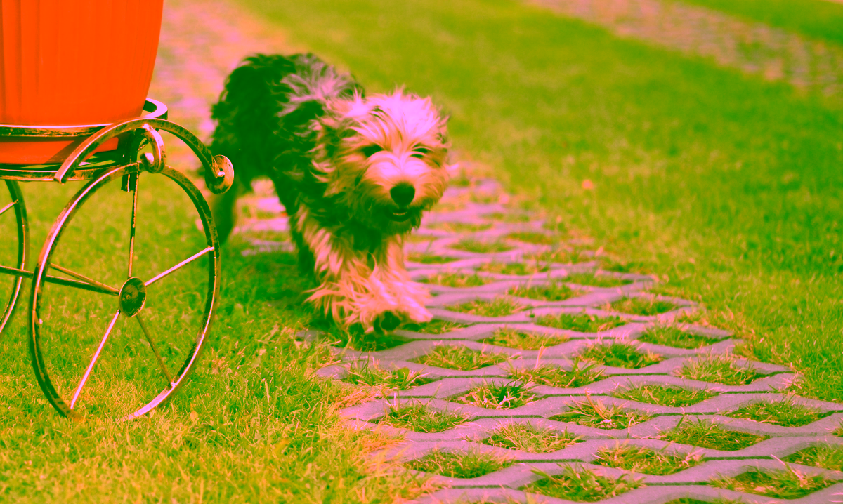 Kovový záhonek na Model:134