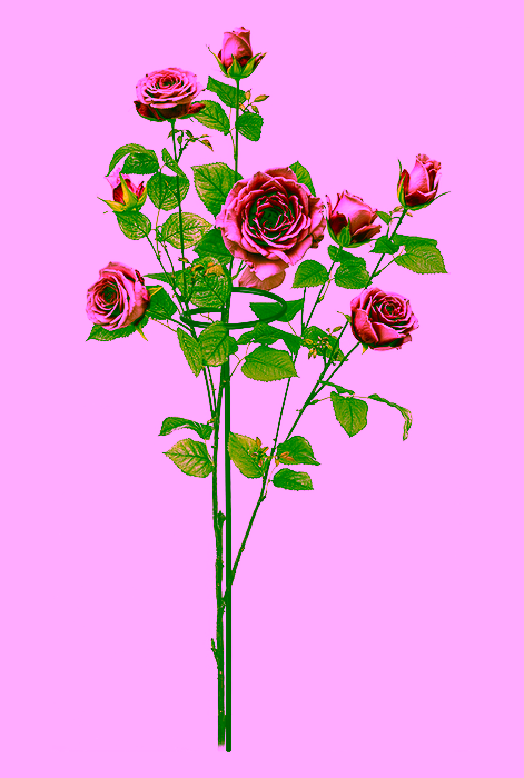 Kůl - opora Model:318