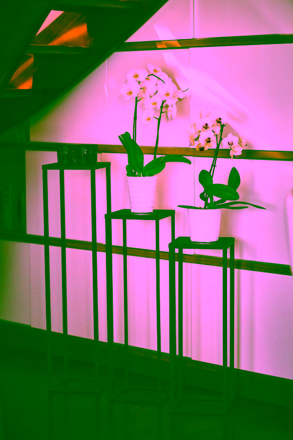 V&iacute;ce&uacute;čelov&yacute; stojan s polic&iacute; 80 - interi&eacute;rov&yacute; aranžm&aacute;