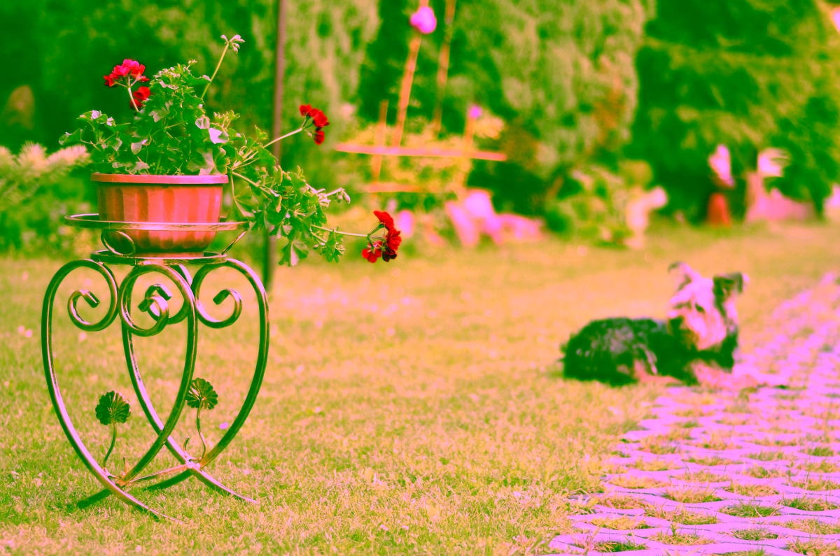 Květinový záhon Srdce Model:160