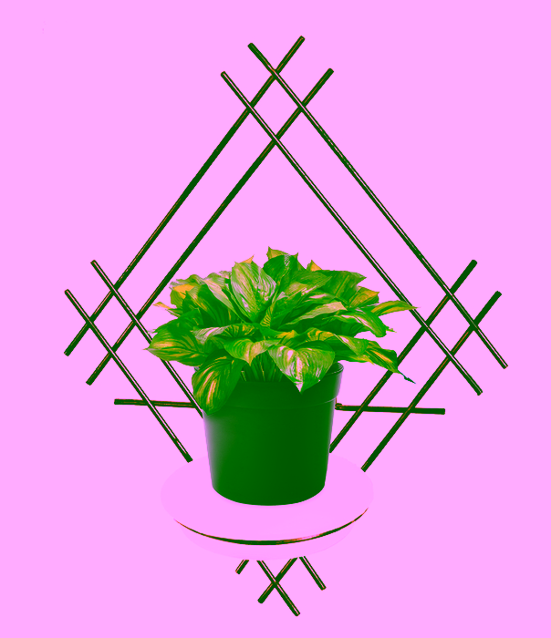 Nástěnný květinový truhlík Model:82