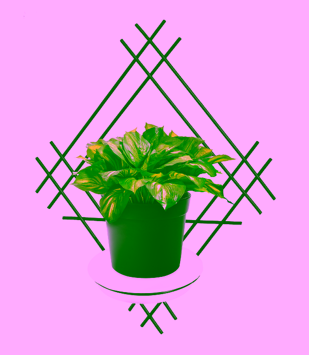 Nástěnný květinový truhlík Model:82