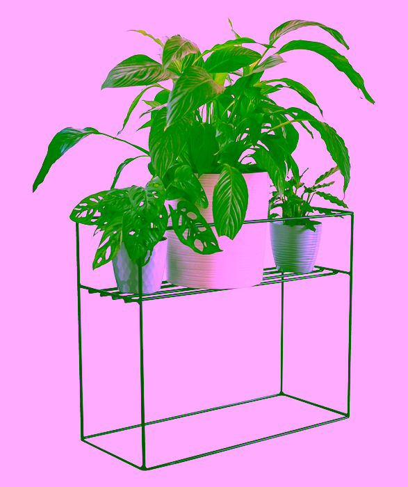 Obdélníkový drátěný záhon - FORMA