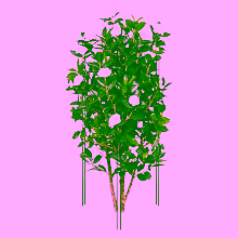 Opora pro keře, Model:323