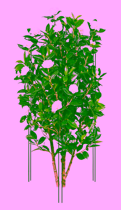 Opora pro keře, Model:323