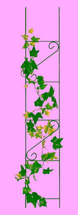 Opora pro květiny, popínavé rostliny - 150 cm.