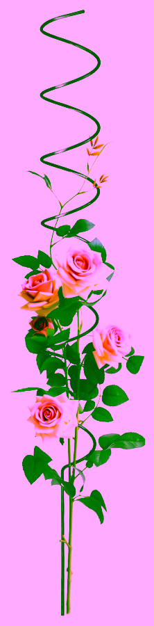 Opora pro popínavé Model:365