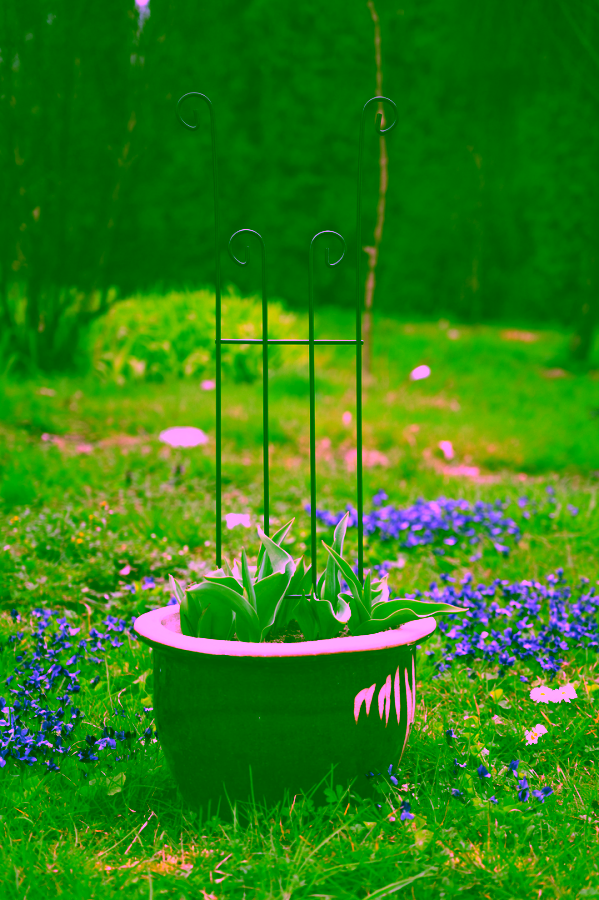 Opora pro keře a popínavé rostliny - 65 cm.