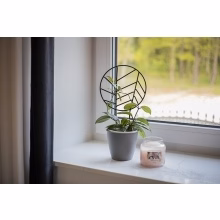 Podpěra pro rostliny Model:552