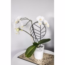 Podpěra pro rostliny Model:552