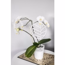 Podpěra pro rostliny Model:552