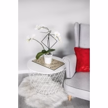 Podpora květin a Model:554