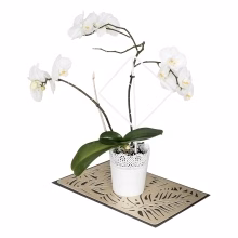 Podpora květin a Model:554