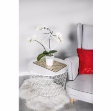 Podpora květin a Model:554