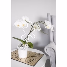 Podpora květin. Kovová Model:549