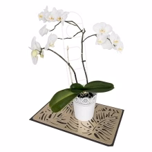 Podpora rostlin a Model:555