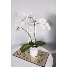 Podpora rostlin a Model:555