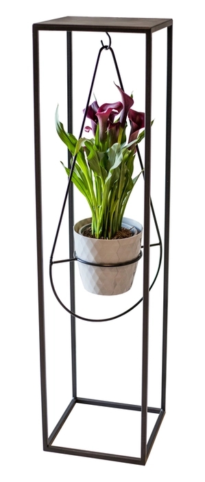 Stojan Loft s h&aacute;čkem