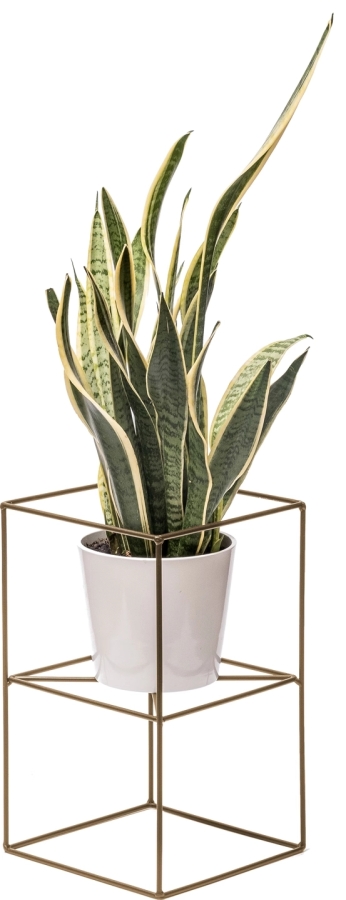 Dr&aacute;těn&yacute; stojan jednoduch&yacute; 40