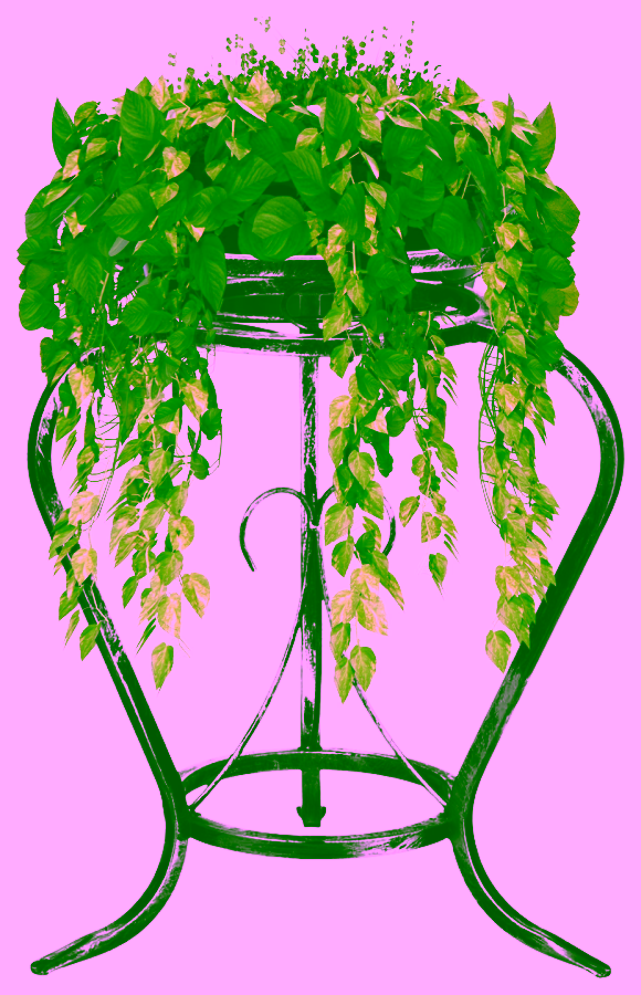 Středně velký pokojový Model:127