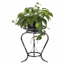 Středně velký pokojový Model:127