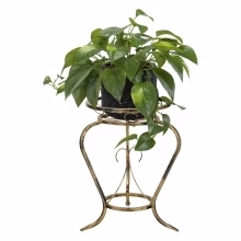 Středně velký pokojový Model:127