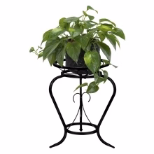 Středně velký pokojový Model:127