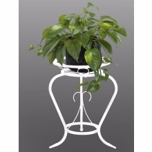 Středně velký pokojový Model:127