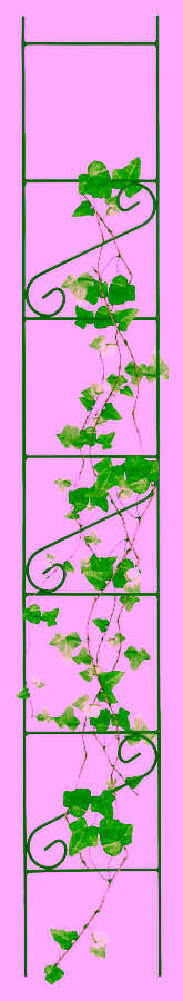 Vysoká opora pro rostliny a keře - 180 cm.