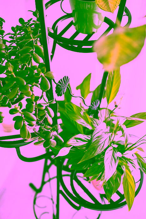 Vysoký záhon se Model:68